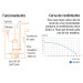 Bomba sumergible metálica para agua limpia uso rudo 3/4 HP
