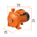 Bomba centrífuga para agua modelo europeo, 1 HP, Expert