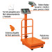 Báscula electrónica de plataforma, plegable, 200 kg, Truper