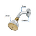 Regadera cónica 2-1/2" cromo-oro brazo y chapetón acero