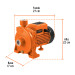 Bomba centrífuga para agua modelo europeo, 1/2 HP, Expert