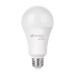 Lámpara de LED tipo bulbo A22 16 W, luz cálida, caja, Basic