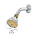 Regadera cónica 2-1/2" cromo-oro brazo y chapetón acero