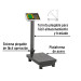 Báscula electrónica de plataforma, plegable, 100 kg. Pretul