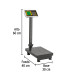 Báscula electrónica de plataforma, plegable, 100 kg. Pretul